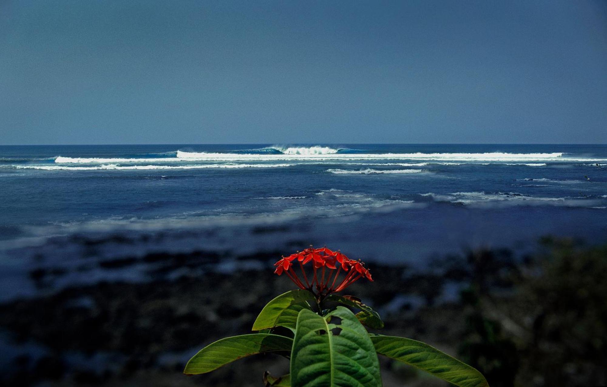 Oceanfront Bungalows - Paradise Rentals Santa Catalina Bagian luar foto