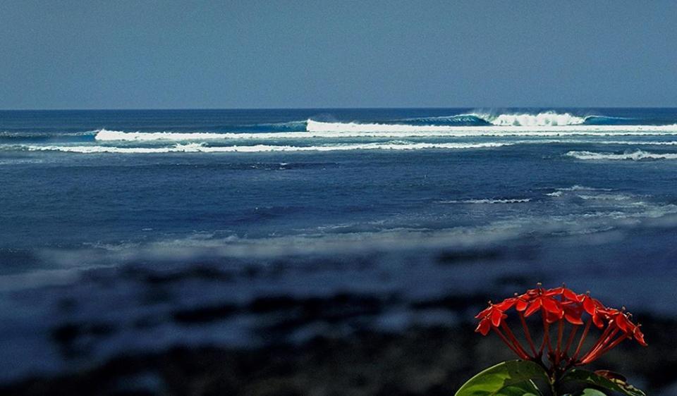 Oceanfront Bungalows - Paradise Rentals Santa Catalina Bagian luar foto