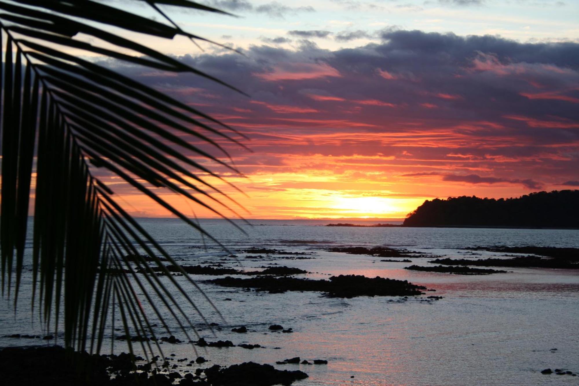 Oceanfront Bungalows - Paradise Rentals Santa Catalina Bagian luar foto